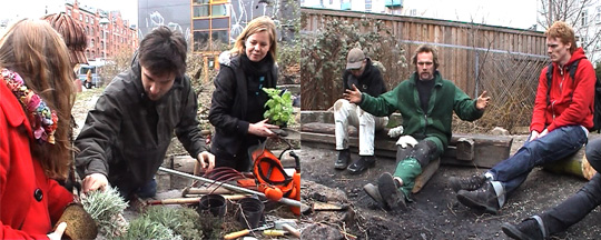 Urban Gardening